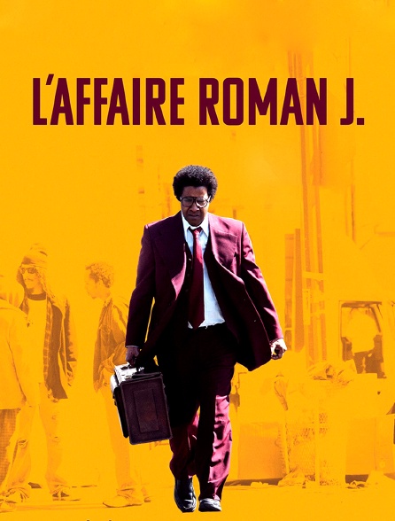 L'affaire Roman J.