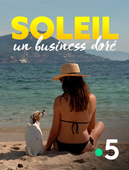 France 5 - Soleil, un business doré