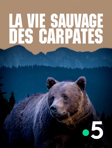 France 5 - La vie sauvage des Carpates