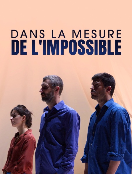 Dans la mesure de l'impossible