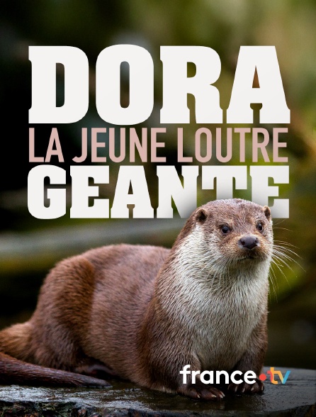 france.tv - Dora, la jeune loutre géante en replay