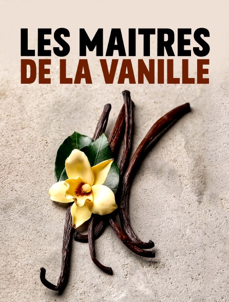 Les maîtres de la vanille