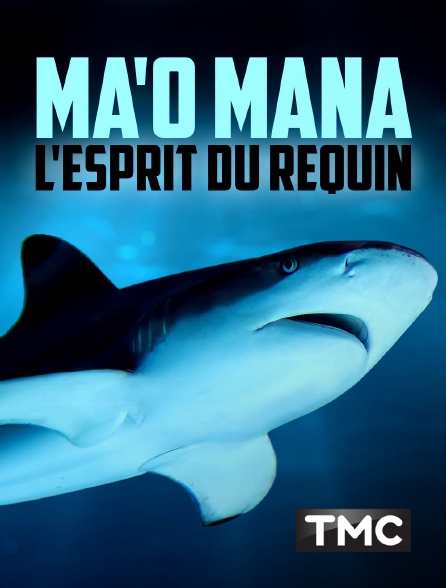 TMC - Ma'o Mana l'esprit du requin