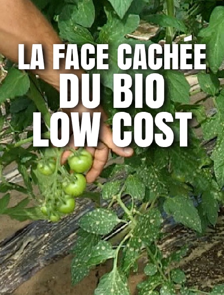 La face cachée du bio low cost