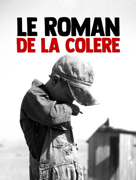 Le roman de la colère