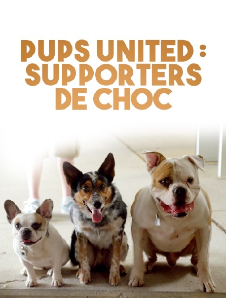 Pups United : supporters de choc