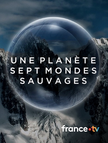 france.tv - Une planète, sept mondes sauvages
