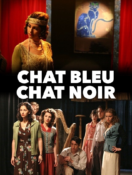 Chat bleu, chat noir