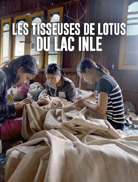 Les tisseuses de lotus du lac Inle