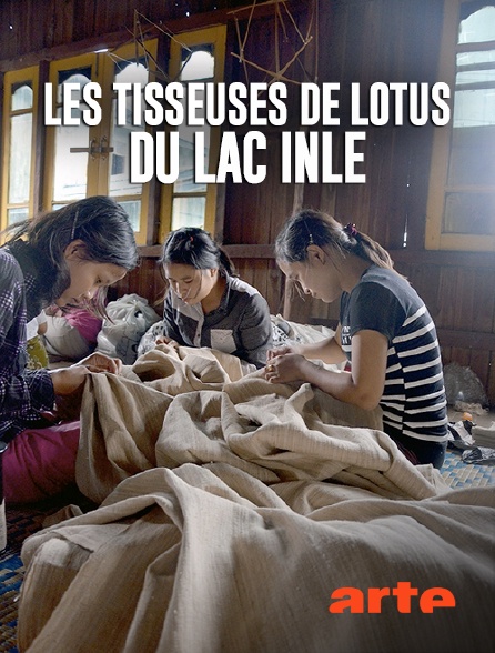 Arte - Les tisseuses de lotus du lac Inle