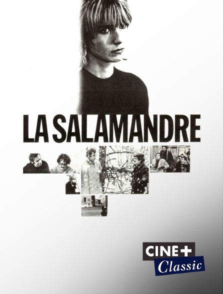 Ciné+ Classic - La salamandre