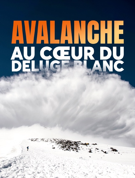 Avalanche, au coeur du déluge blanc