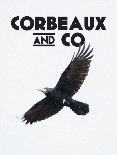 Corbeaux & co