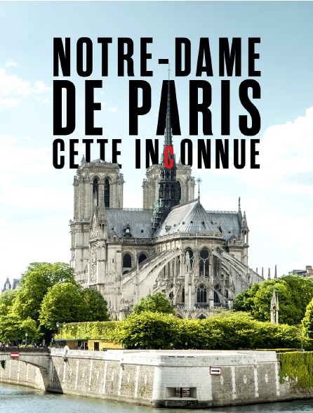 Notre Dame De Paris En Streaming Notre-Dame de Paris, cette inconnue en Streaming - Molotov.tv
