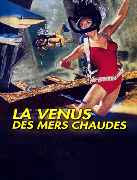 La Vénus des mers chaudes