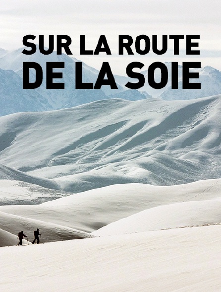 Sur la route de la soie