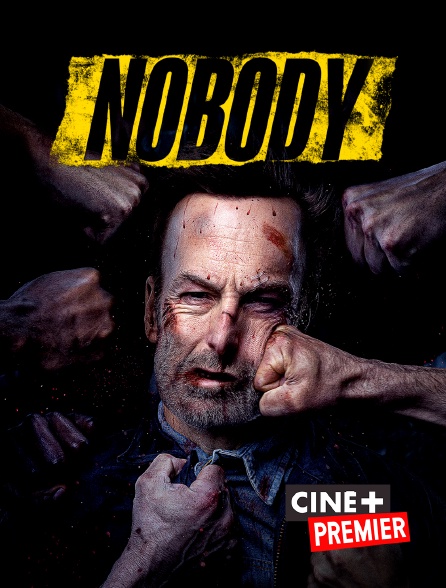 Ciné+ Premier - Nobody