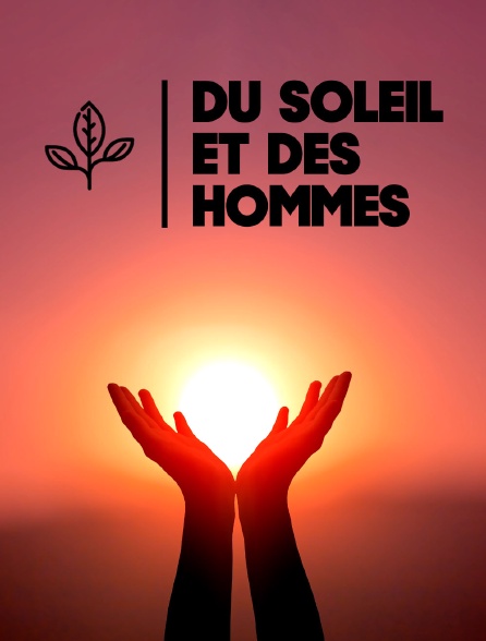 Du soleil et des hommes