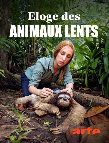 Arte - Eloge des animaux lents