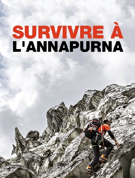 Survivre à l'Annapurna