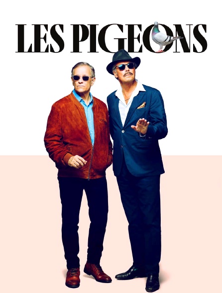 Les pigeons