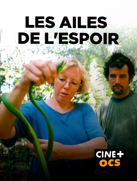 CINÉ Cinéma - Les ailes de l'espoir