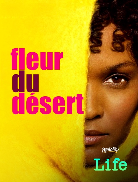 Molotov Channels Life - Fleur du désert