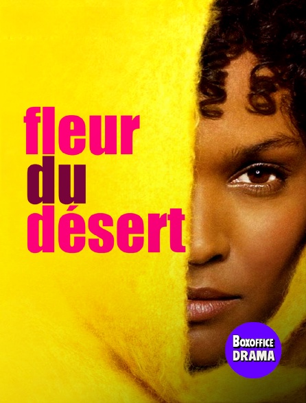 Box Office Drama - Fleur du désert