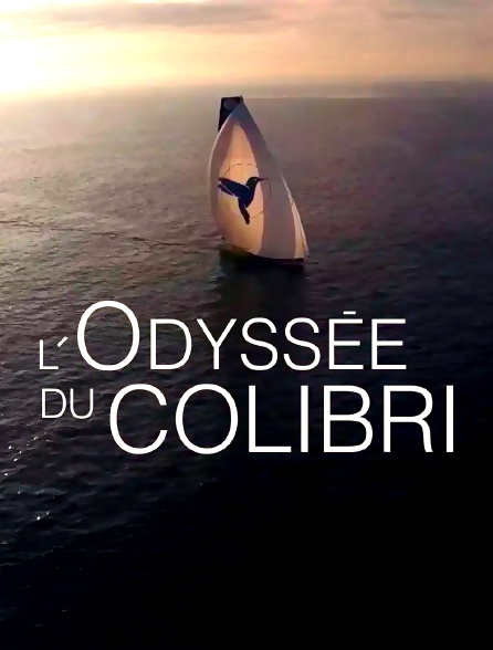 L'odyssée du colibri
