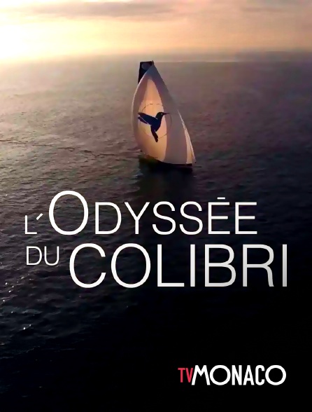 TV Monaco - L'odyssée du colibri