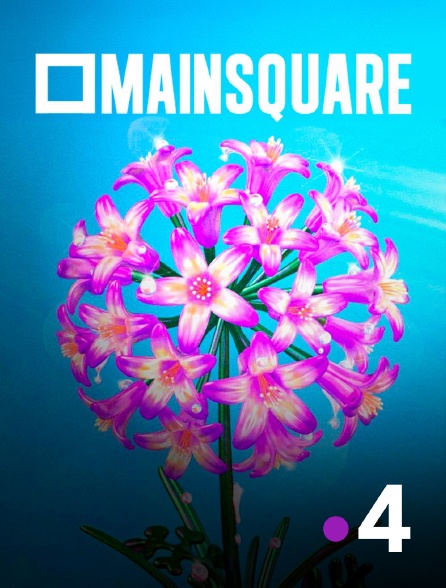 France 4 - Main Square Festival 2024