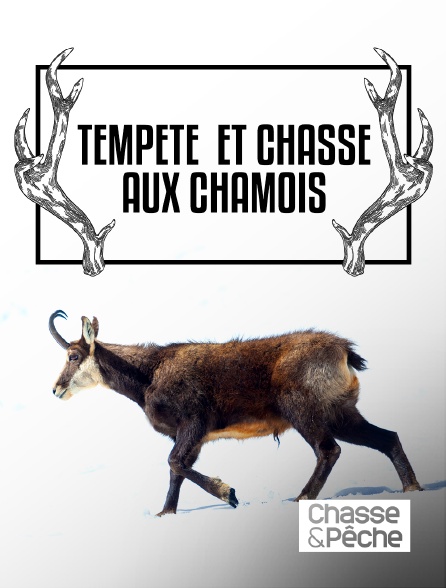 Chasse et pêche - Tempête et chasse aux chamois