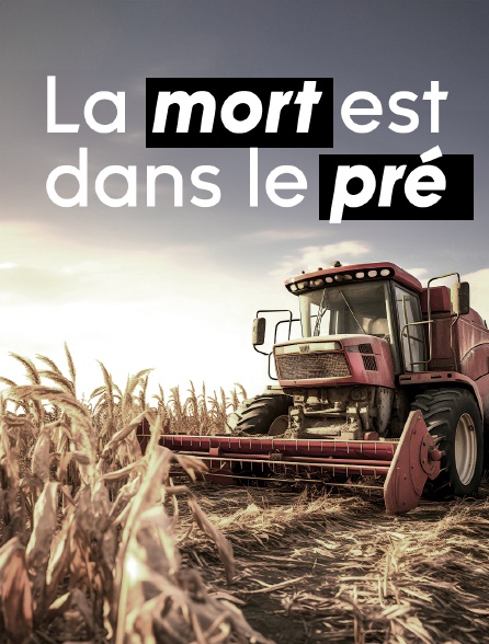 La Mort Est Dans Le Pré En Streaming Gratuit Sur France 2