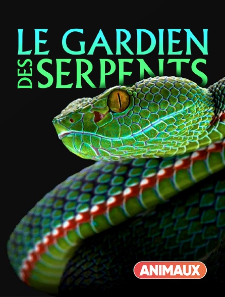 Animaux - Le gardien des serpents