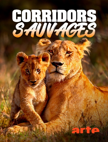 Arte - Corridors sauvages