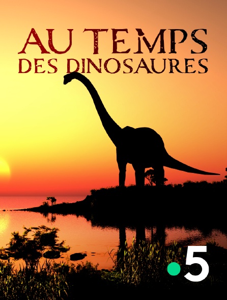 France 5 - Au temps des dinosaures