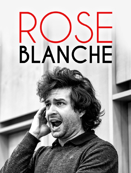 Rose blanche