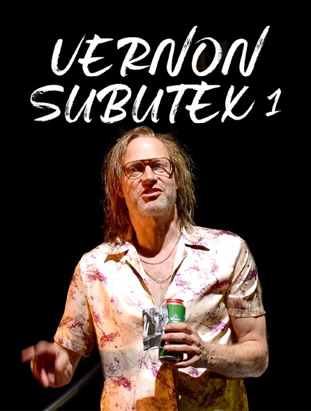 Vernon Subutex 1