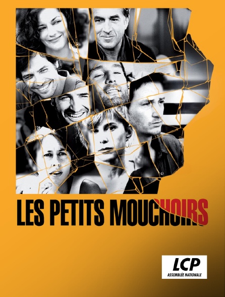 LCP 100% - Les petits mouchoirs