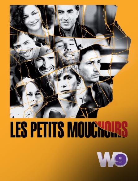 W9 - Les petits mouchoirs