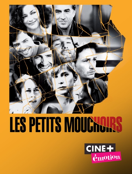 Ciné+ Emotion - Les petits mouchoirs