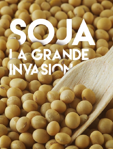 Soja, la grande invasion