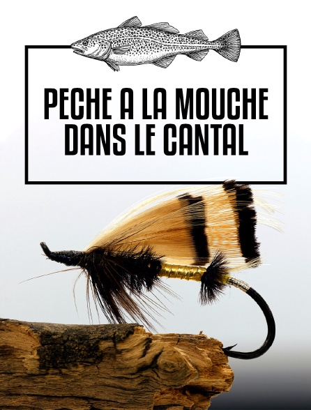 Pêche à la mouche dans le Cantal