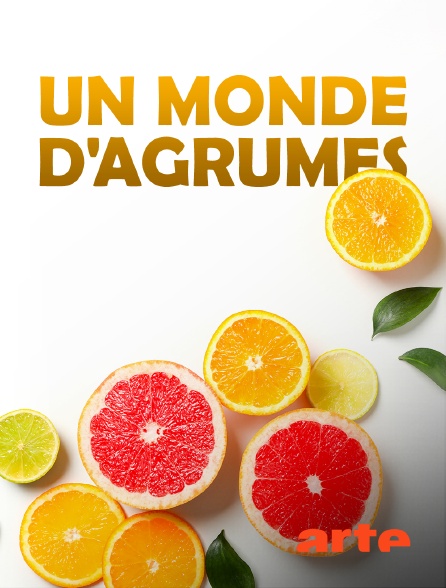 Arte - Un monde d'agrumes