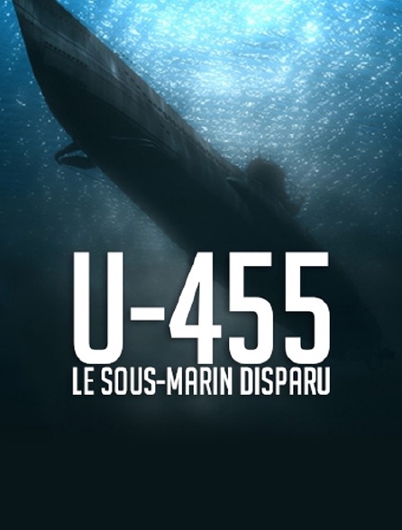 U-455, le sous-marin disparu
