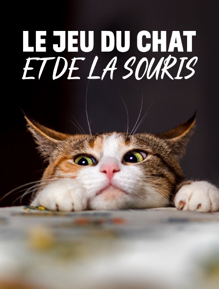 Le Jeu Du Chat Et De La Souris En Streaming Molotov Tv