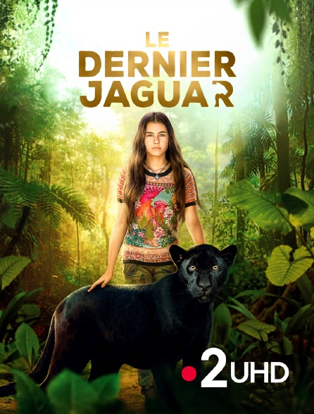 France 2 UHD - Le dernier jaguar