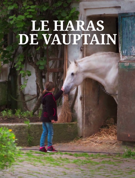 Haras de Vauptain