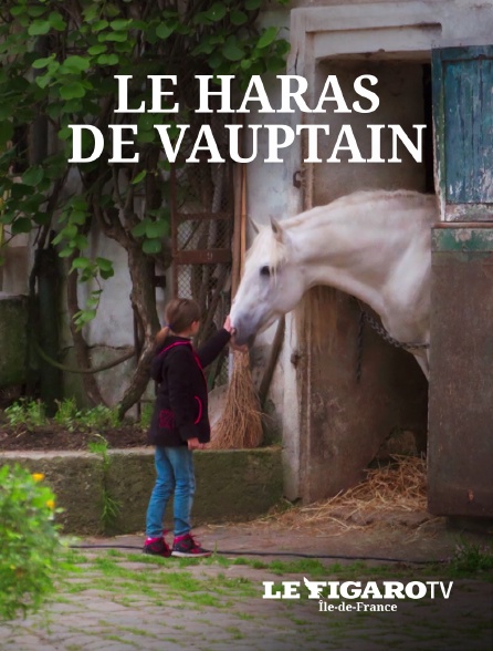 Le Figaro TV Île-de-France - Haras de Vauptain