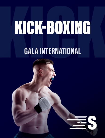 Sport en France - Kick-boxing : Gala international